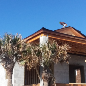 american-hammer-construction-staugustine-florida-first-saville23